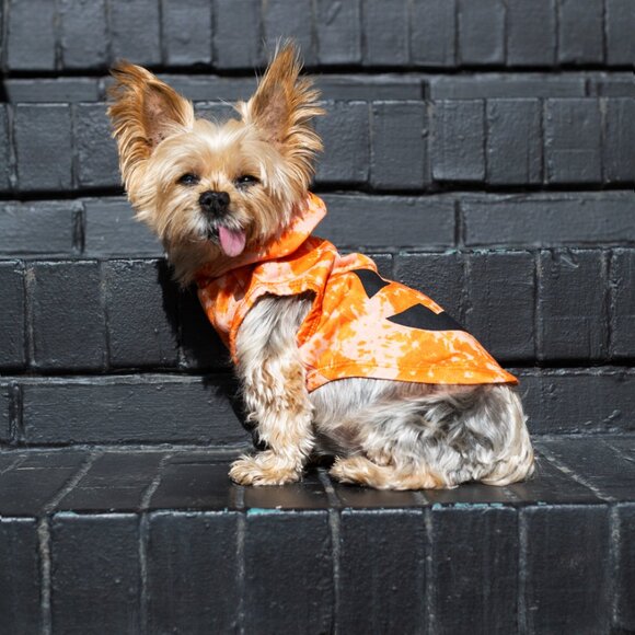 VibrantLife Halloween Hoodie Dog Clothing Orange Tie Dye Jack-O-Lantern - Picture 3 of 5